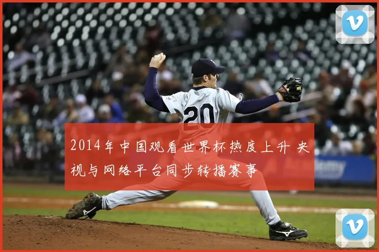 2014年中国观看世界杯热度上升 央视与网络平台同步转播赛事