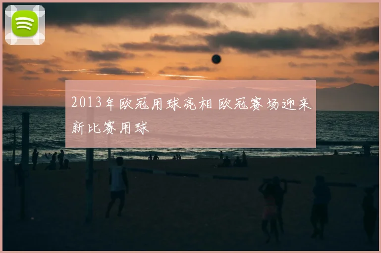 2013年欧冠用球亮相 欧冠赛场迎来新比赛用球